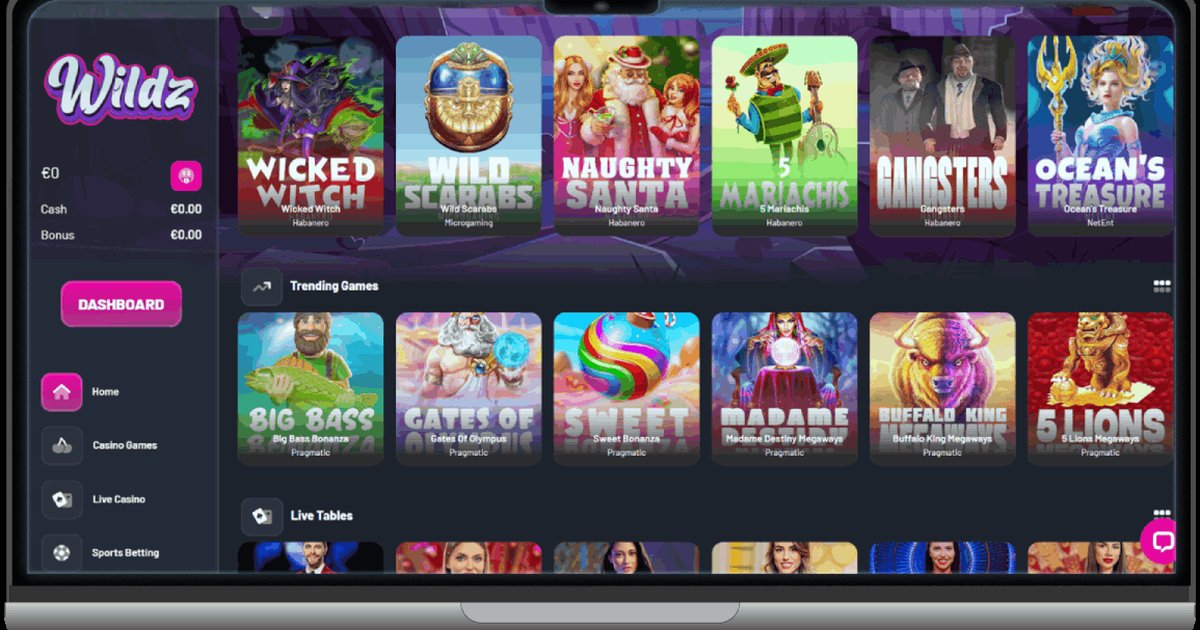 Aperçu de l'interface Wilzy Casino